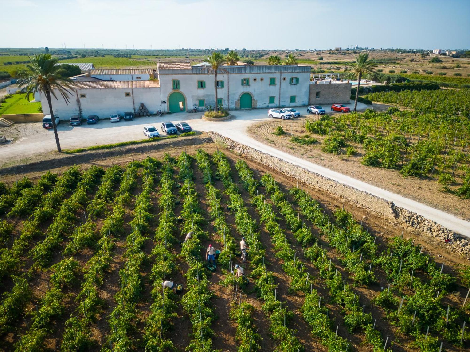 Agriturismo Baglio Donnafranca Wine Resort มาร์ซาลา ภายนอก รูปภาพ