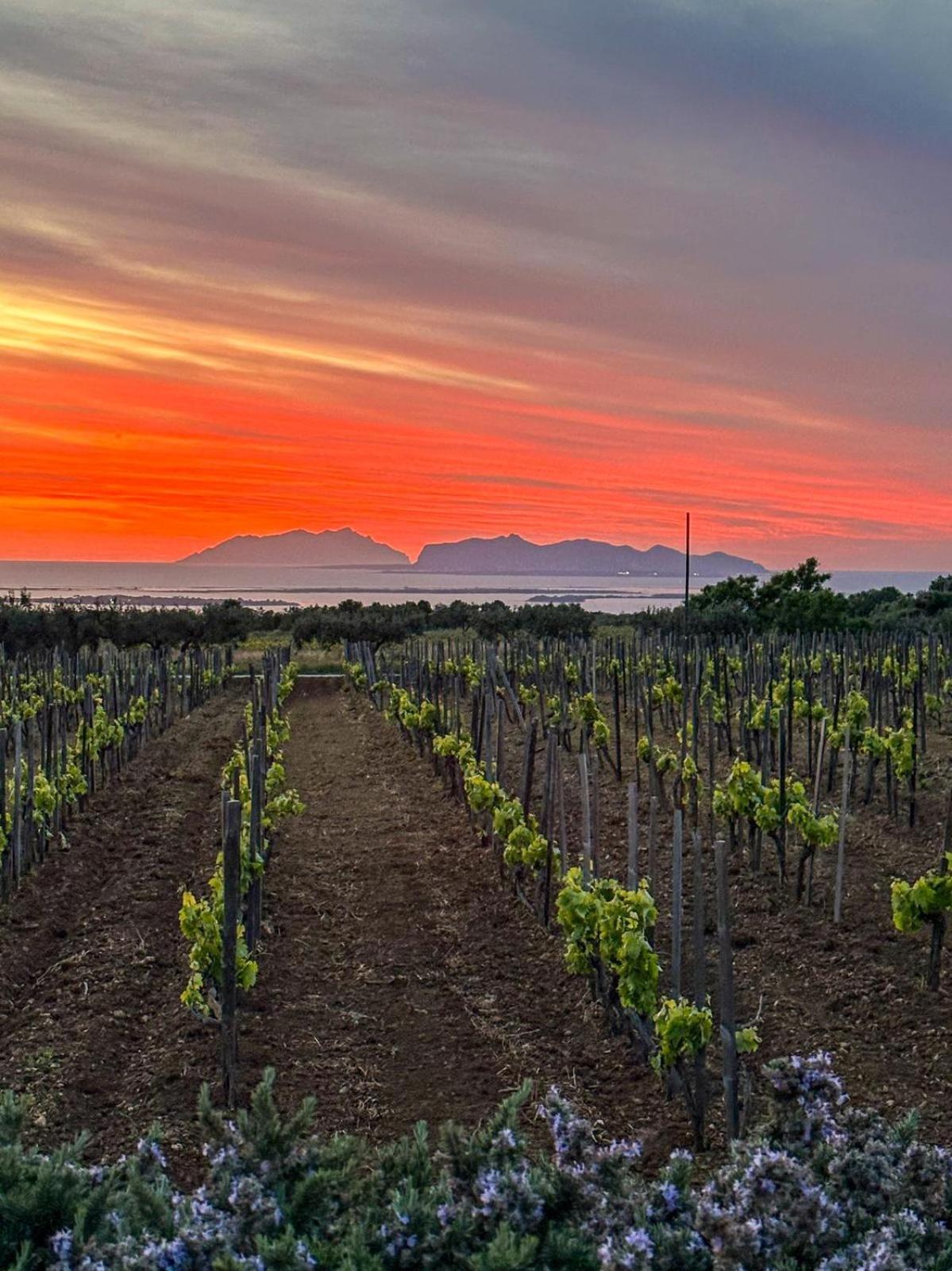 Agriturismo Baglio Donnafranca Wine Resort มาร์ซาลา ภายนอก รูปภาพ