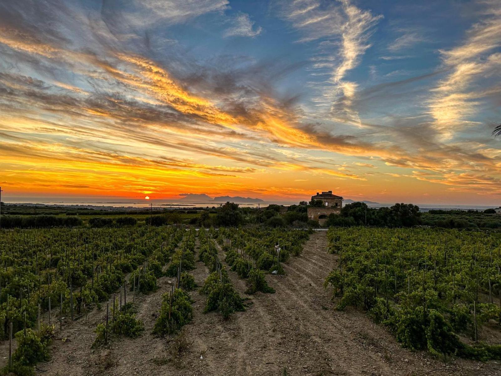 Agriturismo Baglio Donnafranca Wine Resort มาร์ซาลา ภายนอก รูปภาพ